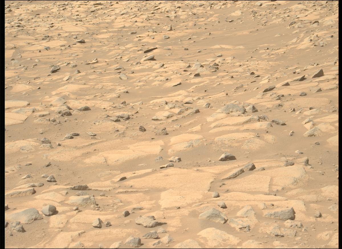 This image was taken by MCZ_LEFT onboard NASA's Mars rover Perseverance on Sol 1009