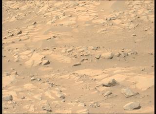 View image taken on Mars, Mars Perseverance Sol 1009: Left Mastcam-Z Camera