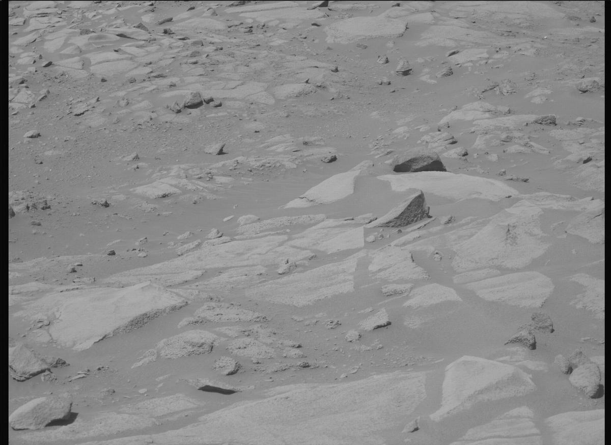 This image was taken by MCZ_LEFT onboard NASA's Mars rover Perseverance on Sol 1009