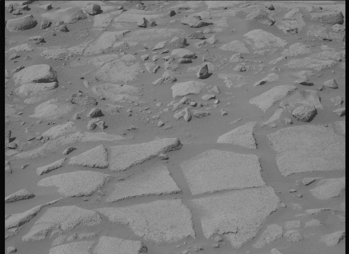 This image was taken by MCZ_LEFT onboard NASA's Mars rover Perseverance on Sol 1009