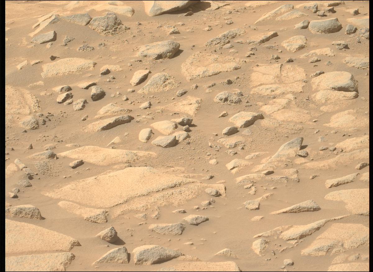 This image was taken by MCZ_LEFT onboard NASA's Mars rover Perseverance on Sol 1009