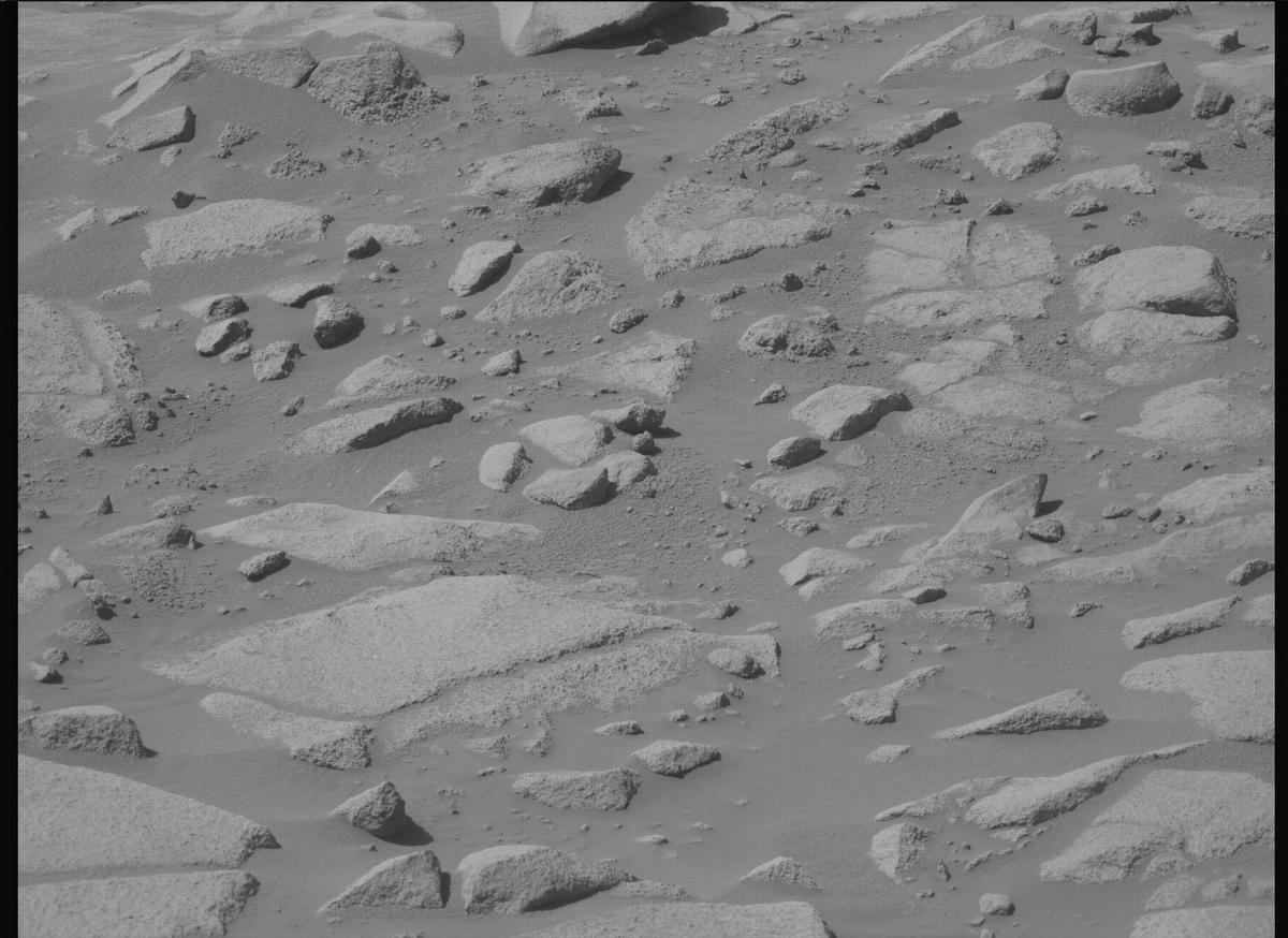 This image was taken by MCZ_LEFT onboard NASA's Mars rover Perseverance on Sol 1009