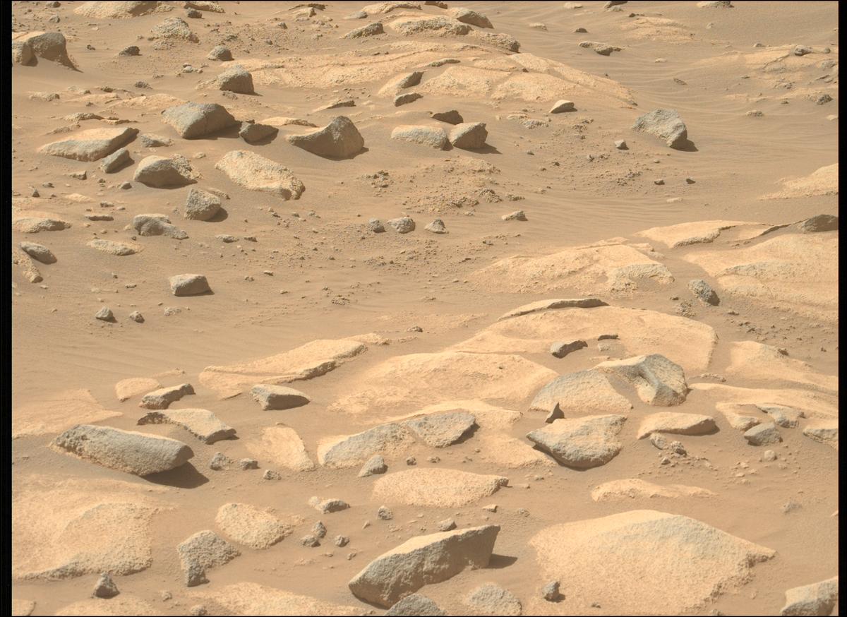 This image was taken by MCZ_LEFT onboard NASA's Mars rover Perseverance on Sol 1009