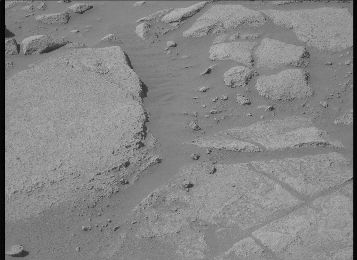 This image was taken by MCZ_LEFT onboard NASA's Mars rover Perseverance on Sol 1009