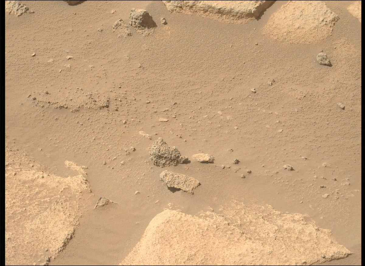 This image was taken by MCZ_LEFT onboard NASA's Mars rover Perseverance on Sol 1009