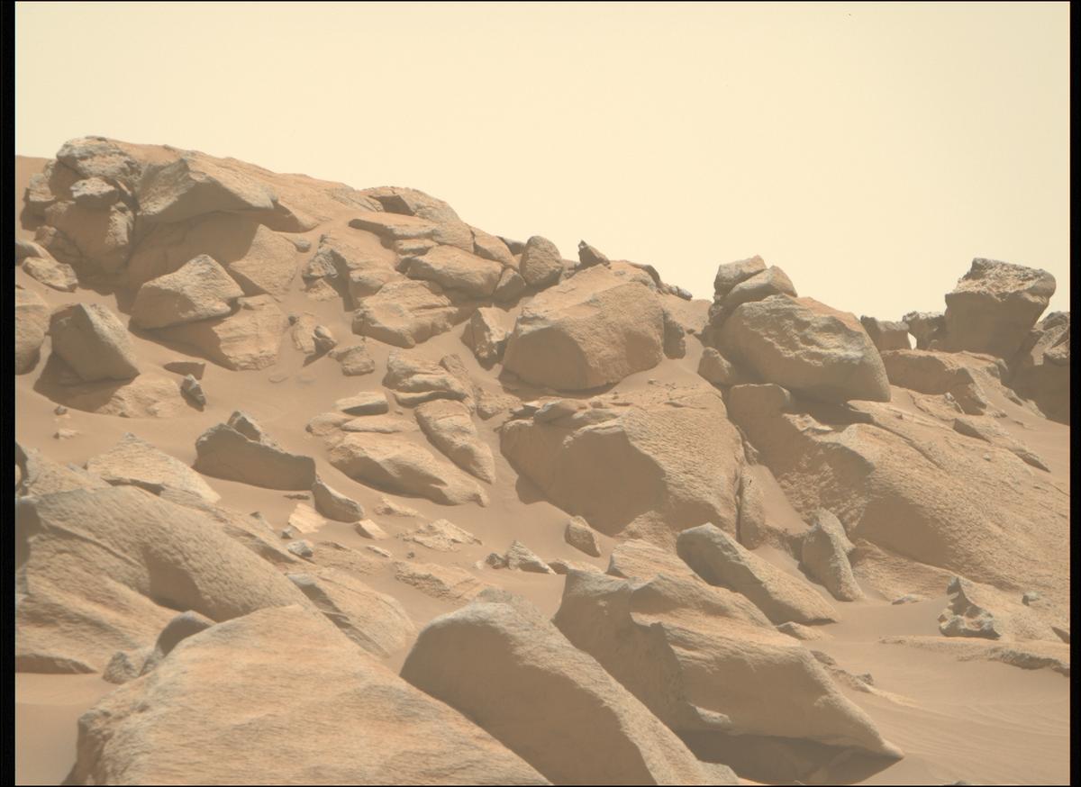 This image was taken by MCZ_RIGHT onboard NASA's Mars rover Perseverance on Sol 1009