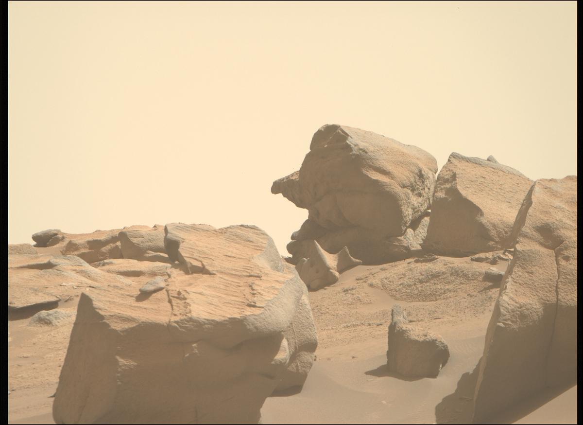This image was taken by MCZ_RIGHT onboard NASA's Mars rover Perseverance on Sol 1009
