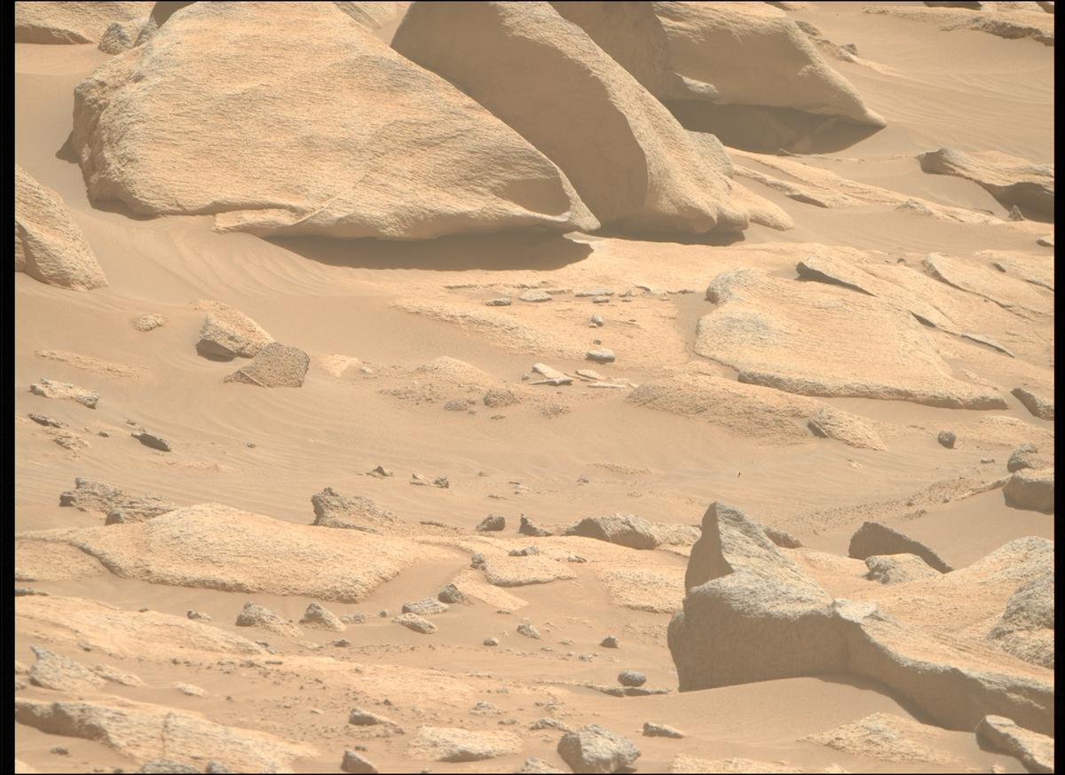 This image was taken by MCZ_RIGHT onboard NASA's Mars rover Perseverance on Sol 1009