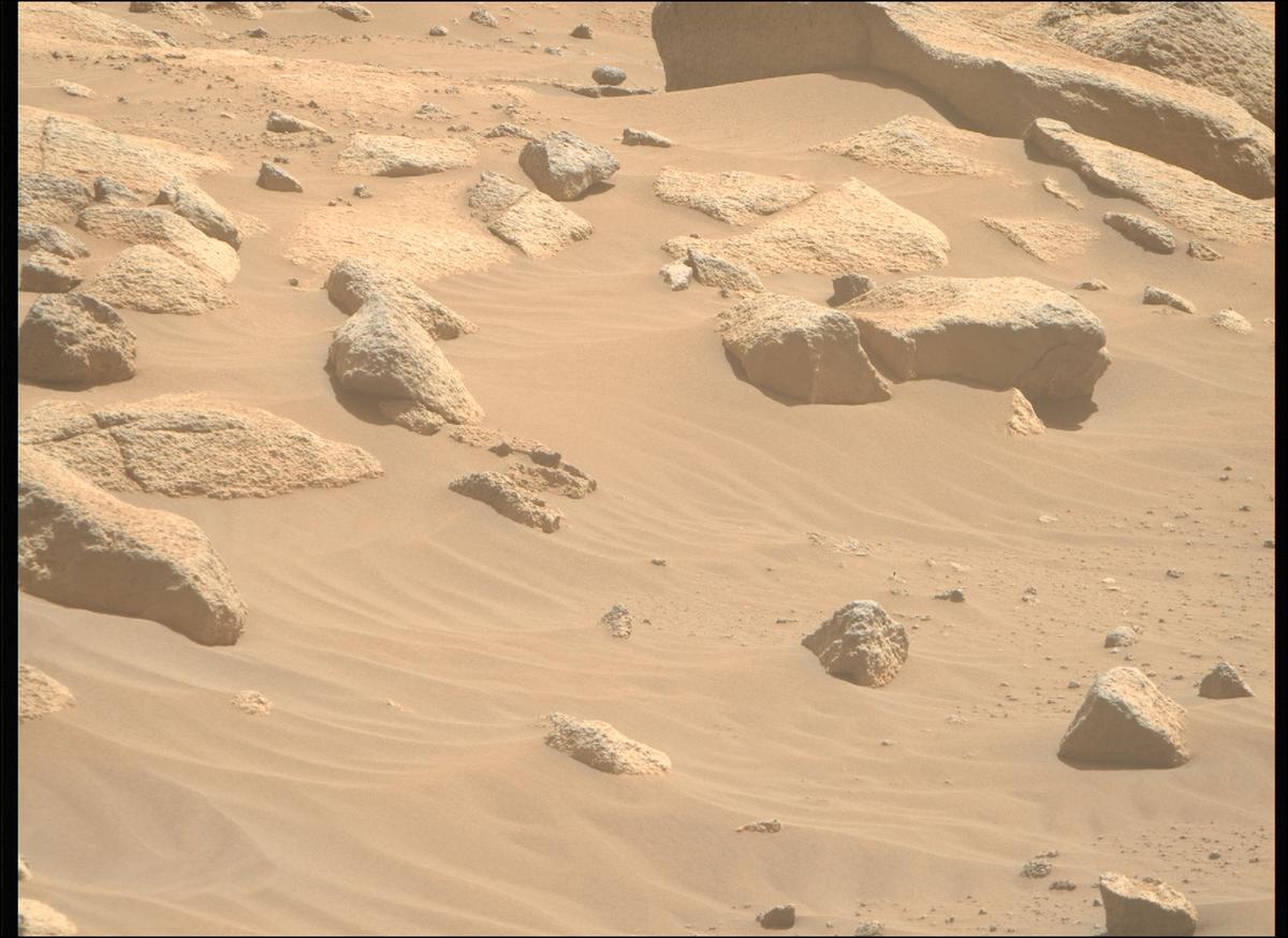 This image was taken by MCZ_RIGHT onboard NASA's Mars rover Perseverance on Sol 1009