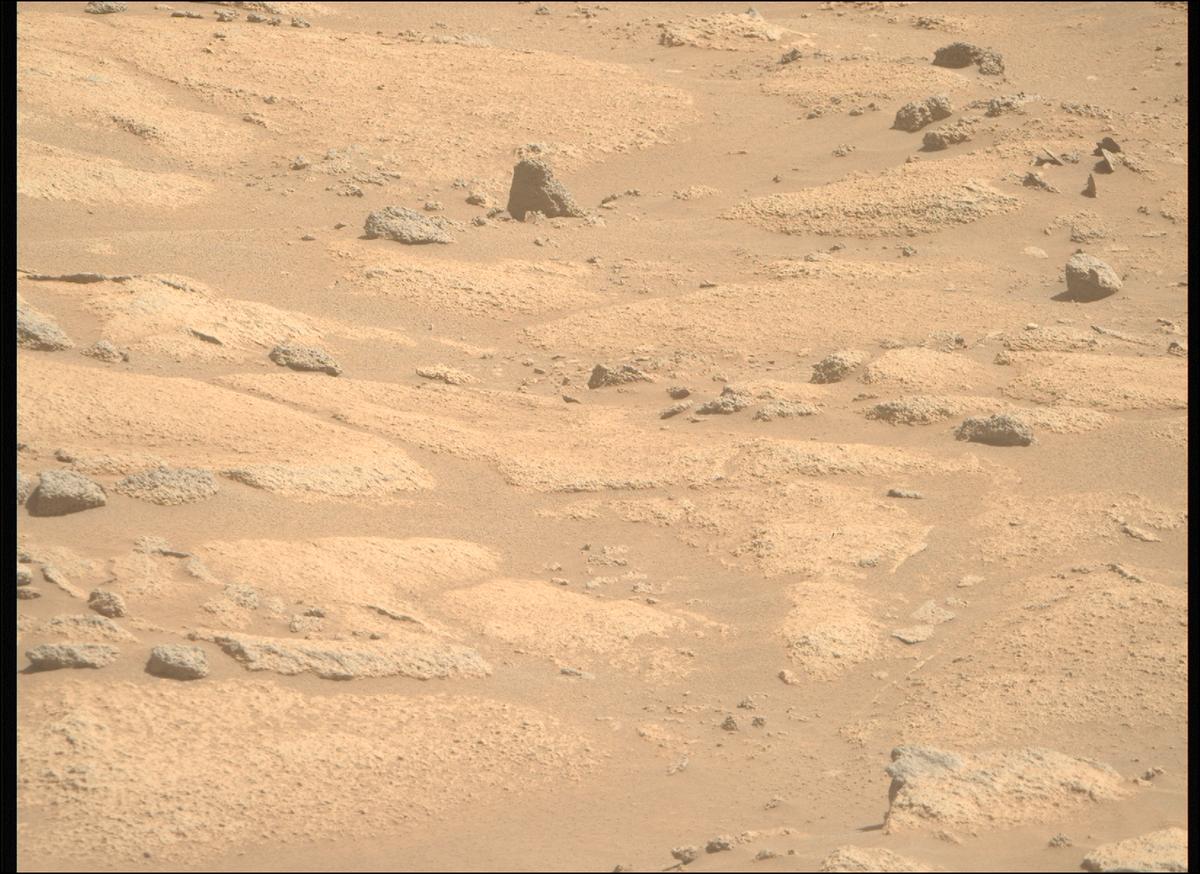 This image was taken by MCZ_RIGHT onboard NASA's Mars rover Perseverance on Sol 1009
