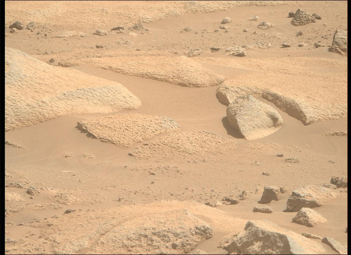 This image was taken by MCZ_RIGHT onboard NASA's Mars rover Perseverance on Sol 1009