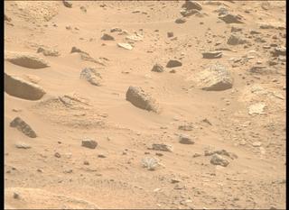 View image taken on Mars, Mars Perseverance Sol 1009: Right Mastcam-Z Camera
