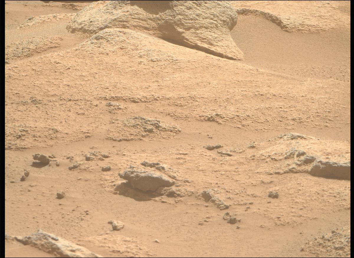 This image was taken by MCZ_RIGHT onboard NASA's Mars rover Perseverance on Sol 1009