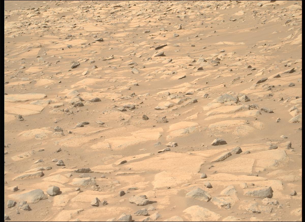 This image was taken by MCZ_RIGHT onboard NASA's Mars rover Perseverance on Sol 1009