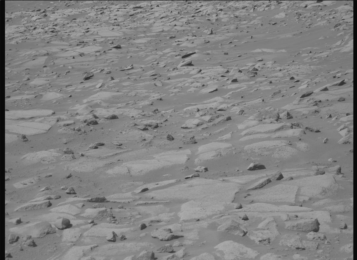 This image was taken by MCZ_RIGHT onboard NASA's Mars rover Perseverance on Sol 1009