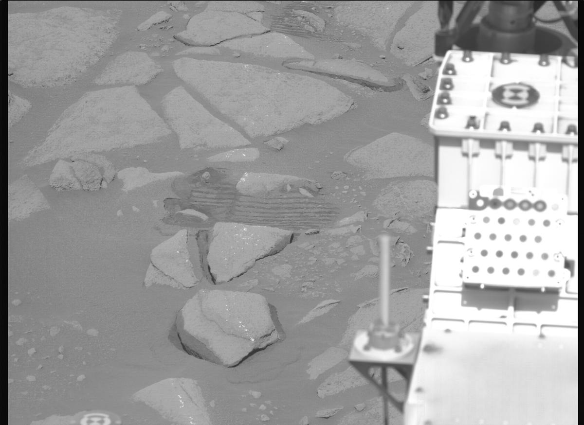 This image was taken by MCZ_RIGHT onboard NASA's Mars rover Perseverance on Sol 1009