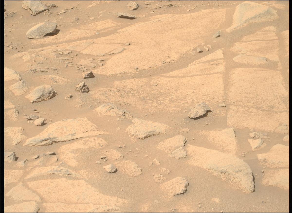 This image was taken by MCZ_RIGHT onboard NASA's Mars rover Perseverance on Sol 1009