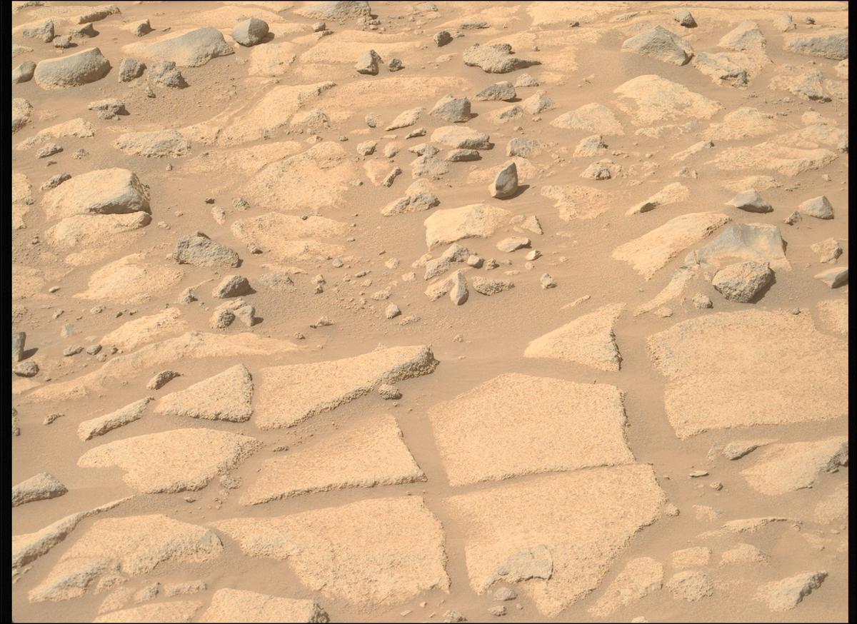 This image was taken by MCZ_RIGHT onboard NASA's Mars rover Perseverance on Sol 1009