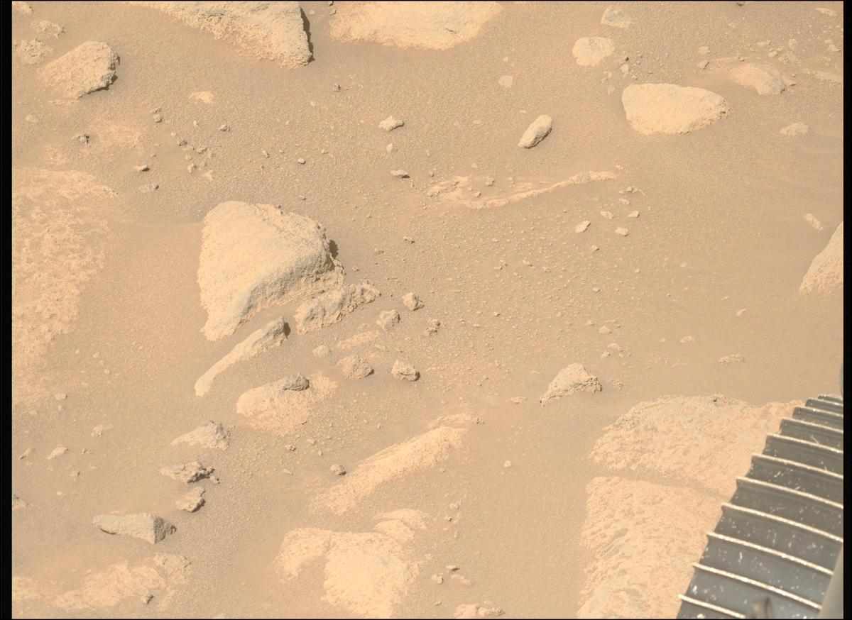 This image was taken by MCZ_RIGHT onboard NASA's Mars rover Perseverance on Sol 1009