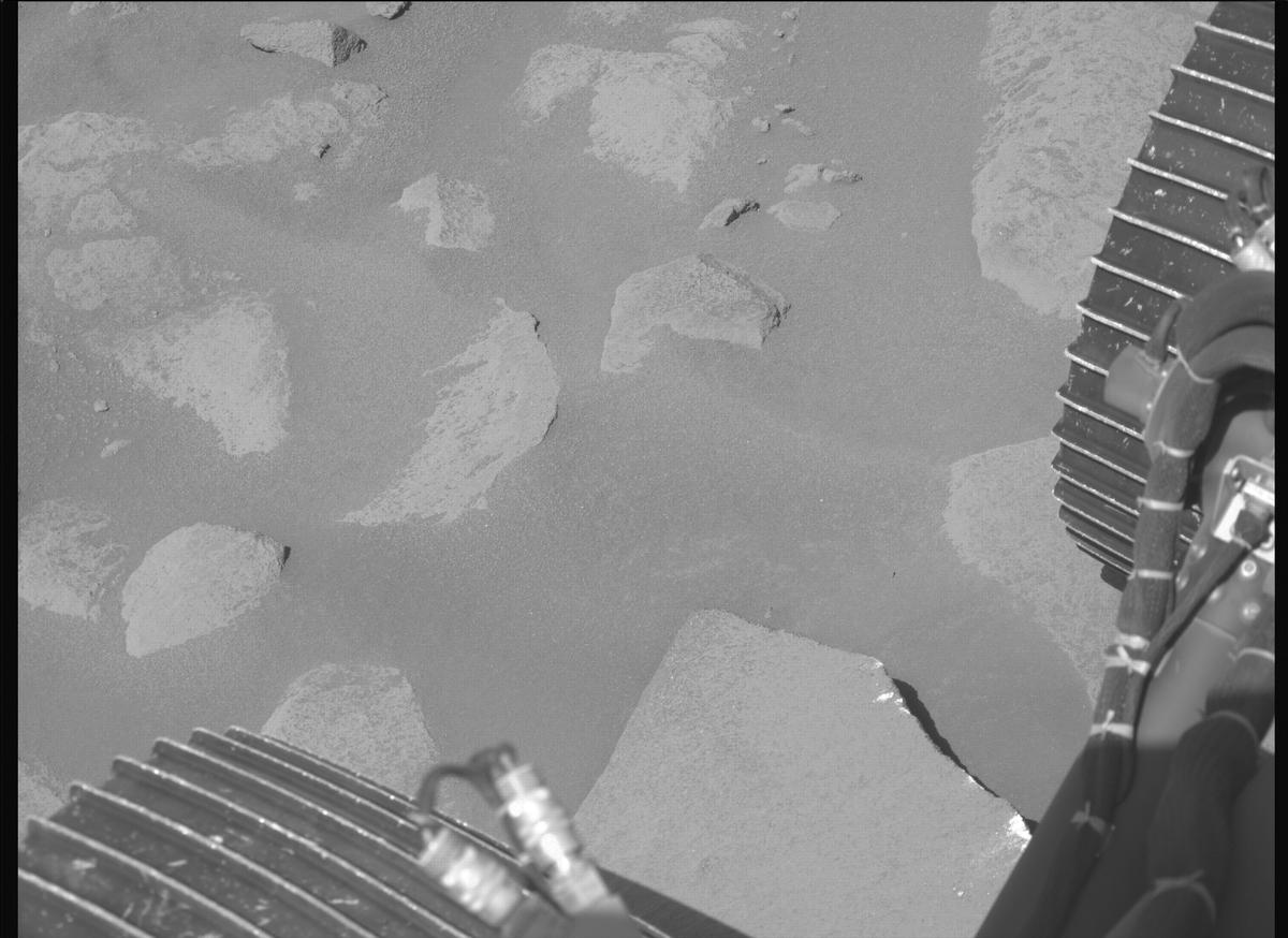 This image was taken by MCZ_RIGHT onboard NASA's Mars rover Perseverance on Sol 1009