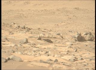 View image taken on Mars, Mars Perseverance Sol 1010: Left Mastcam-Z Camera