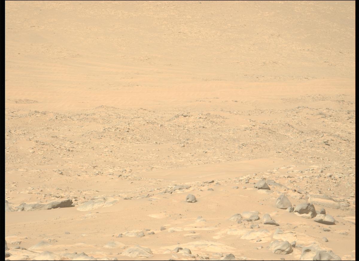 This image was taken by MCZ_LEFT onboard NASA's Mars rover Perseverance on Sol 1010
