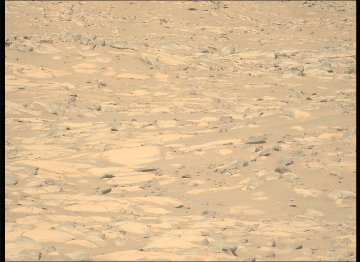 This image was taken by MCZ_LEFT onboard NASA's Mars rover Perseverance on Sol 1010