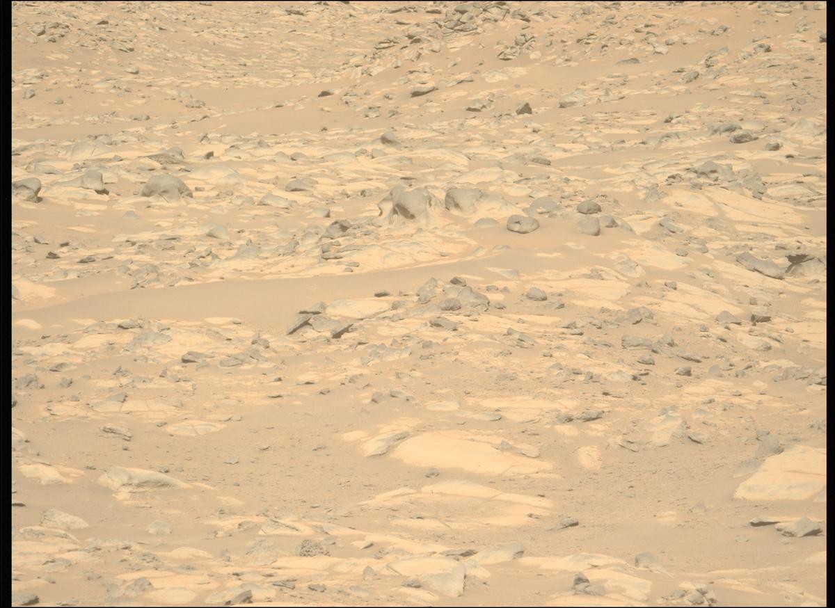 This image was taken by MCZ_LEFT onboard NASA's Mars rover Perseverance on Sol 1010