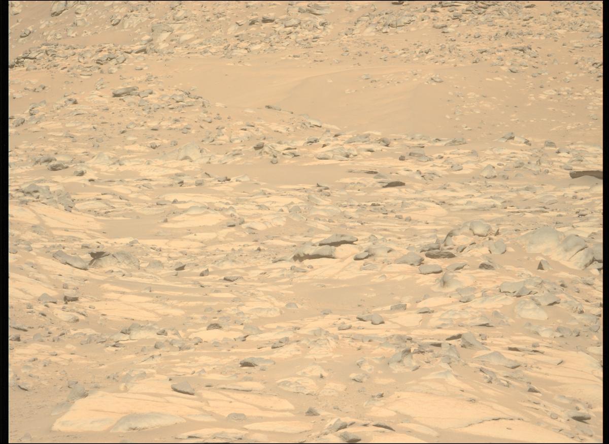 This image was taken by MCZ_LEFT onboard NASA's Mars rover Perseverance on Sol 1010