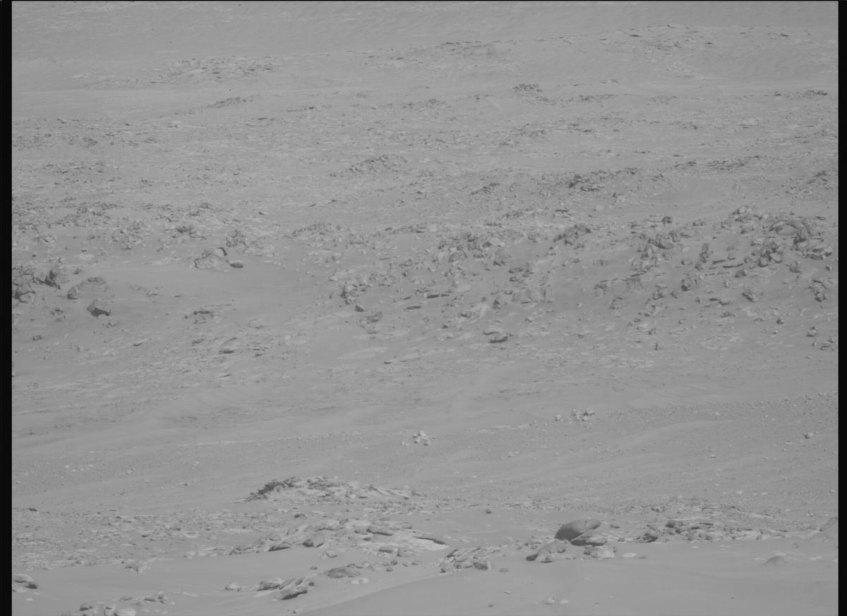 This image was taken by MCZ_LEFT onboard NASA's Mars rover Perseverance on Sol 1010