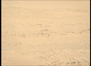 View image taken on Mars, Mars Perseverance Sol 1010: Left Mastcam-Z Camera