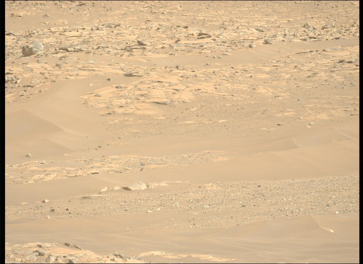 This image was taken by MCZ_LEFT onboard NASA's Mars rover Perseverance on Sol 1010