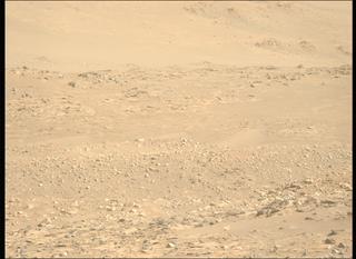 View image taken on Mars, Mars Perseverance Sol 1010: Left Mastcam-Z Camera