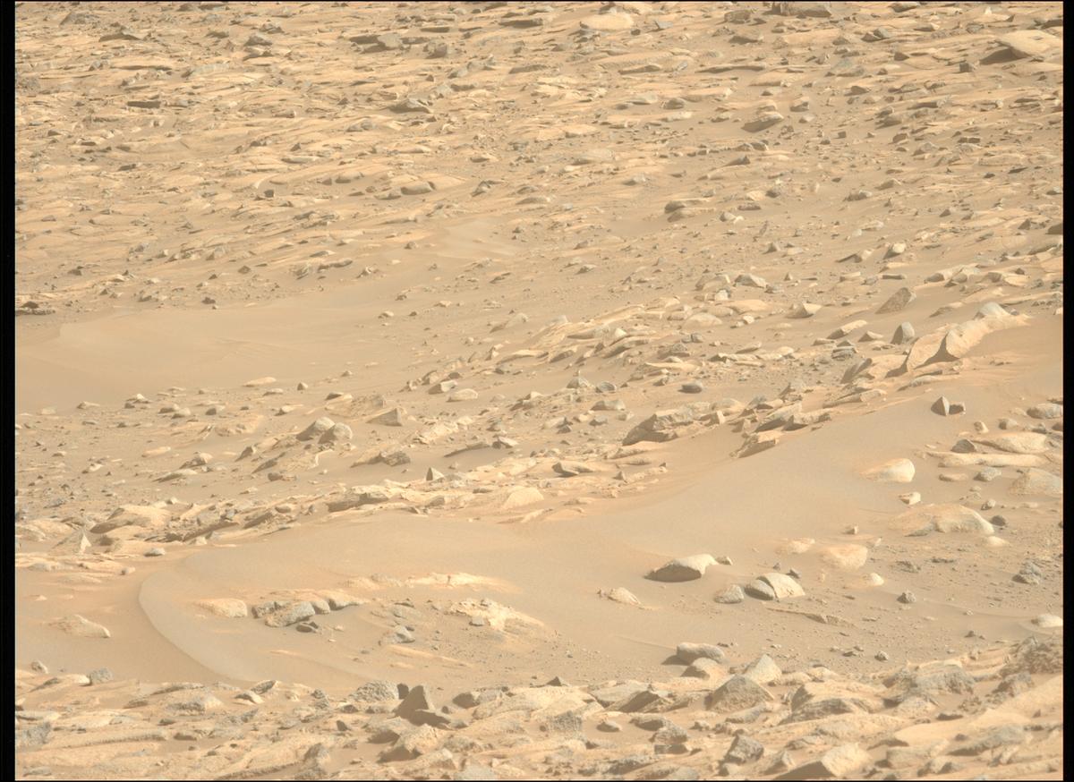 This image was taken by MCZ_LEFT onboard NASA's Mars rover Perseverance on Sol 1010