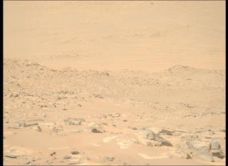 View image taken on Mars, Mars Perseverance Sol 1010: Right Mastcam-Z Camera