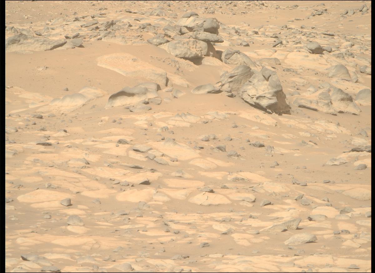 This image was taken by MCZ_RIGHT onboard NASA's Mars rover Perseverance on Sol 1010
