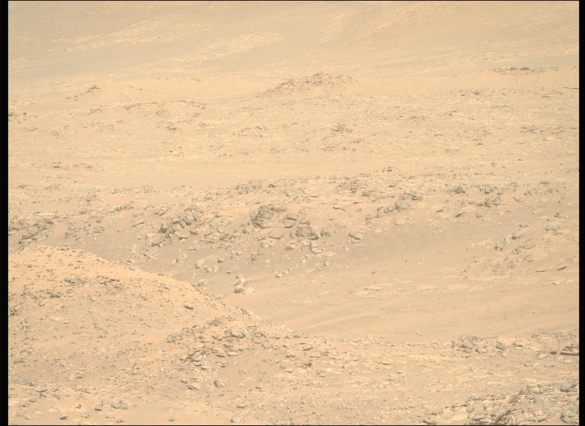 This image was taken by MCZ_RIGHT onboard NASA's Mars rover Perseverance on Sol 1010