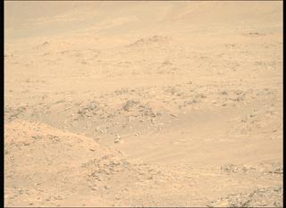 View image taken on Mars, Mars Perseverance Sol 1010: Right Mastcam-Z Camera