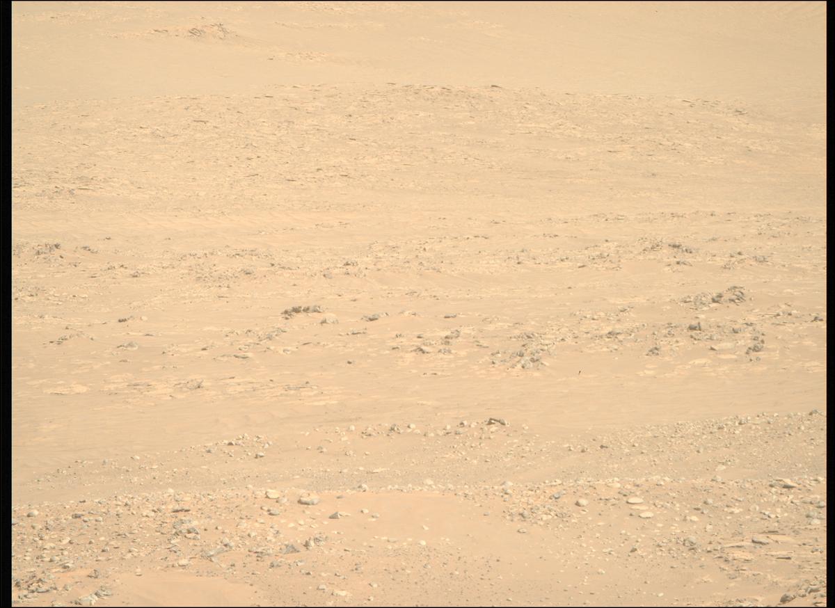 This image was taken by MCZ_RIGHT onboard NASA's Mars rover Perseverance on Sol 1010