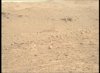 View image taken on Mars, Mars Perseverance Sol 1010: Right Mastcam-Z Camera