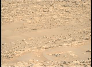 View image taken on Mars, Mars Perseverance Sol 1010: Right Mastcam-Z Camera