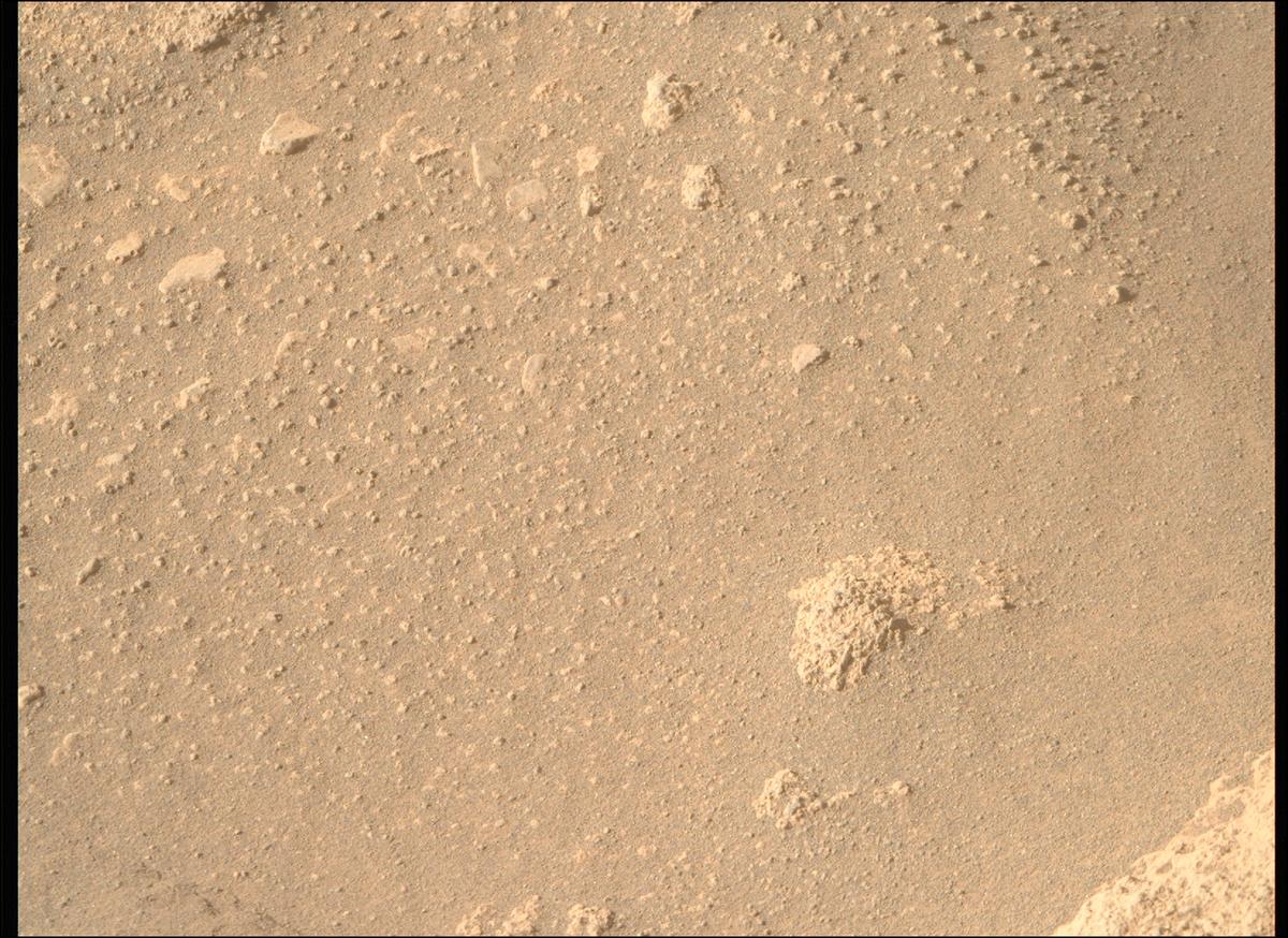 This image was taken by MCZ_RIGHT onboard NASA's Mars rover Perseverance on Sol 1019