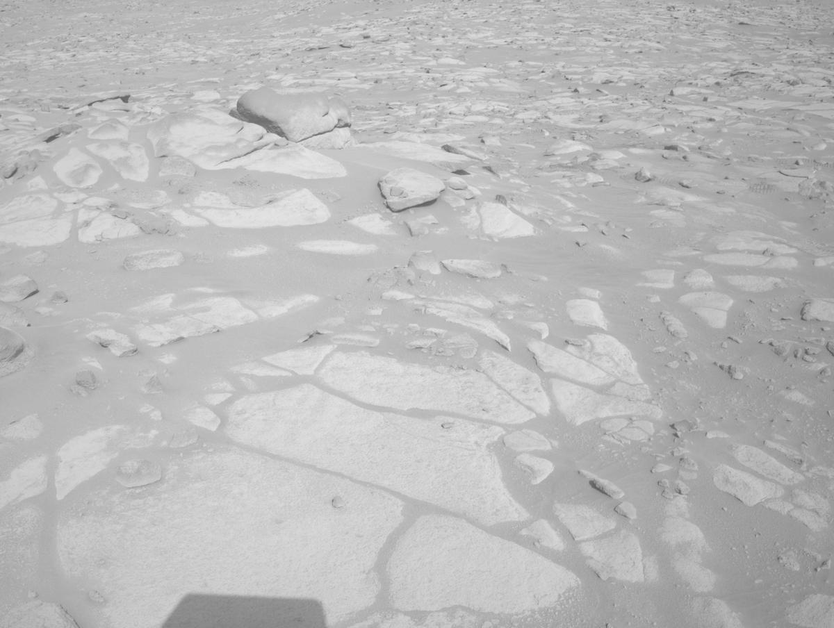 This image was taken by NAVCAM_LEFT onboard NASA's Mars rover Perseverance on Sol 1020