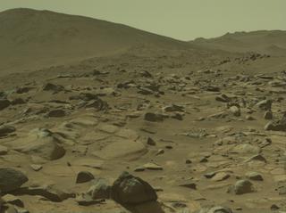 View image taken on Mars, Mars Perseverance Sol 1021: Left Navigation Camera (Navcam)