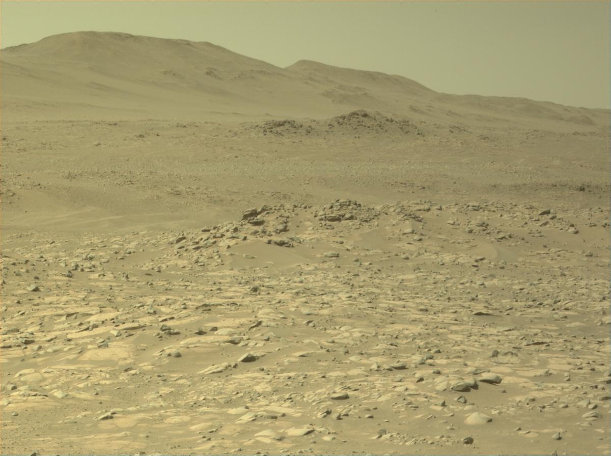 This image was taken by NAVCAM_LEFT onboard NASA's Mars rover Perseverance on Sol 1021