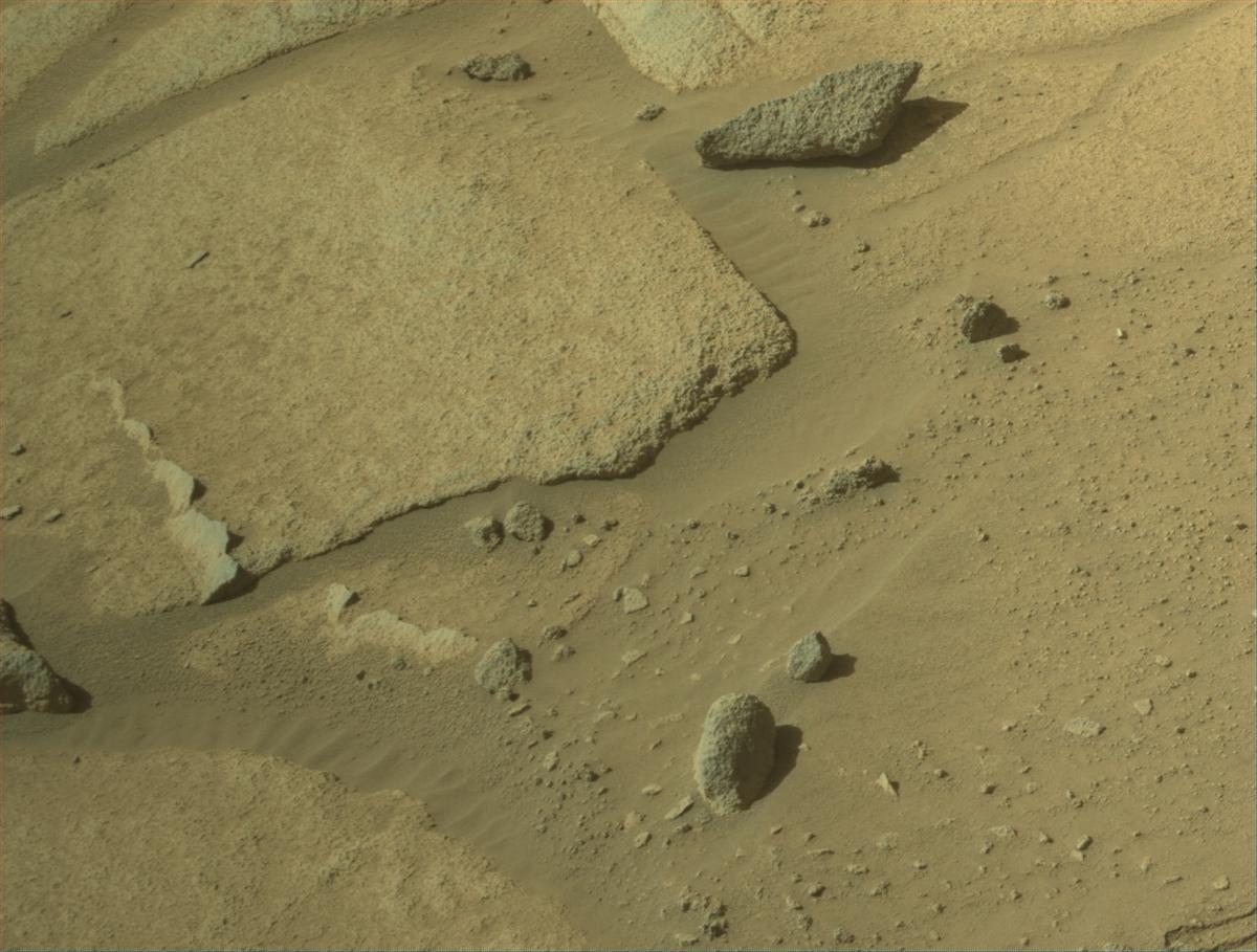 This image was taken by NAVCAM_LEFT onboard NASA's Mars rover Perseverance on Sol 1021