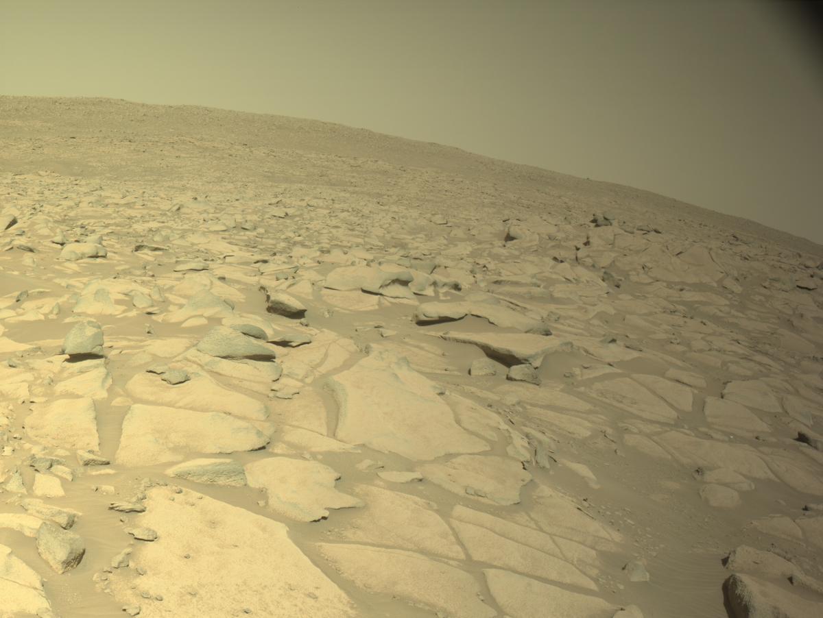 This image was taken by NAVCAM_LEFT onboard NASA's Mars rover Perseverance on Sol 1021