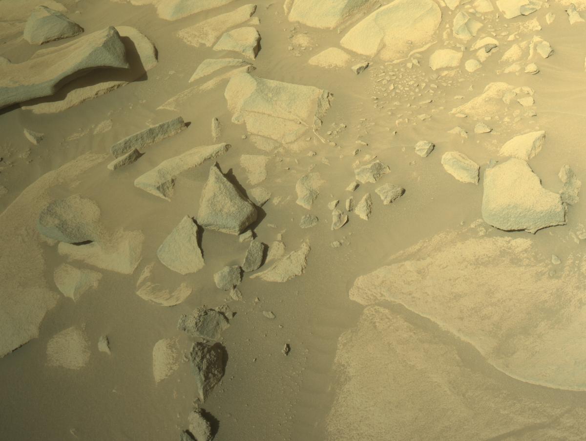 This image was taken by NAVCAM_LEFT onboard NASA's Mars rover Perseverance on Sol 1021