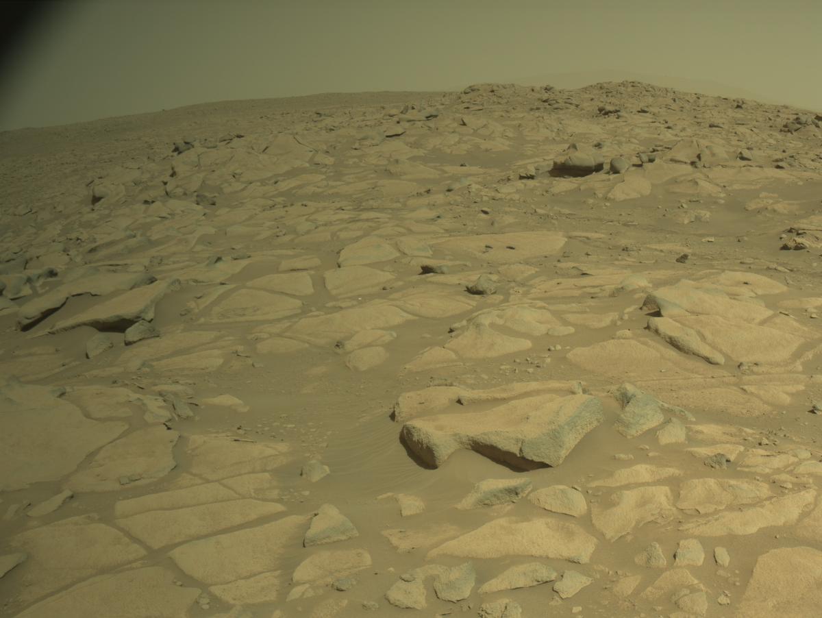 This image was taken by NAVCAM_LEFT onboard NASA's Mars rover Perseverance on Sol 1021
