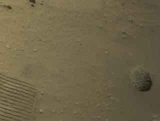 View image taken on Mars, Mars Perseverance Sol 1021: Right Navigation Camera (Navcam)